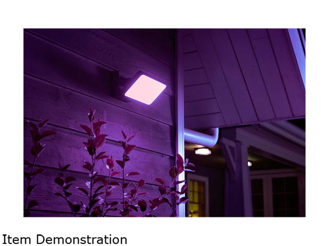 Philips Hue Smart White and Color Ambiance Discover Outdoor Floodlight (Hue Hub Required, Smart Light Works with Alexa, Apple Homekit and Google Assistant)