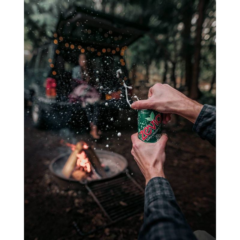 Zevia Ginger Ale Zero Calorie Soda - 16 fl oz Can