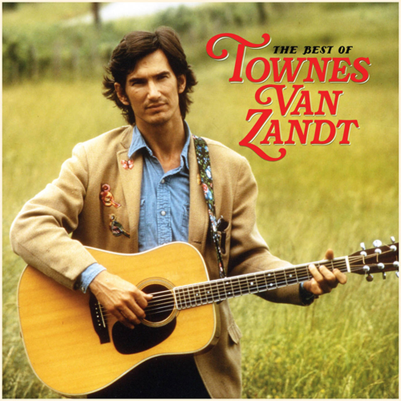 Townes Van Zandt The Best of Townes Van Zandt 2LP (Vinyl)