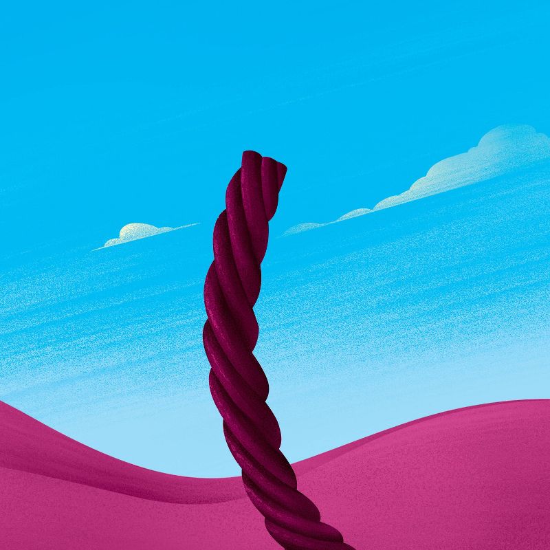 Clif Kid Organic ZFruit Rope Mixed Berry - 12.78oz/18ct