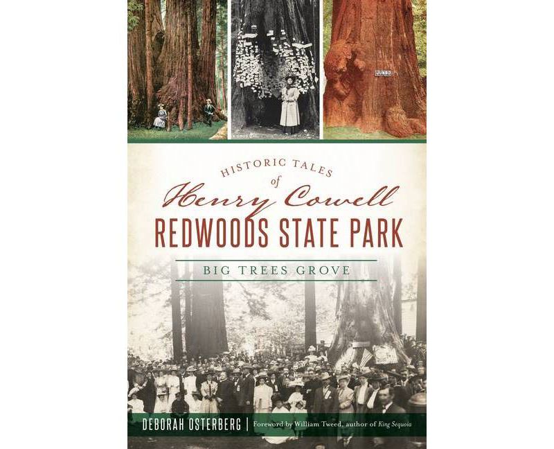 Historic Tales of Henry Cowell Redwoods State Park - (Landmarks) by  Deborah Osterberg (Paperback)