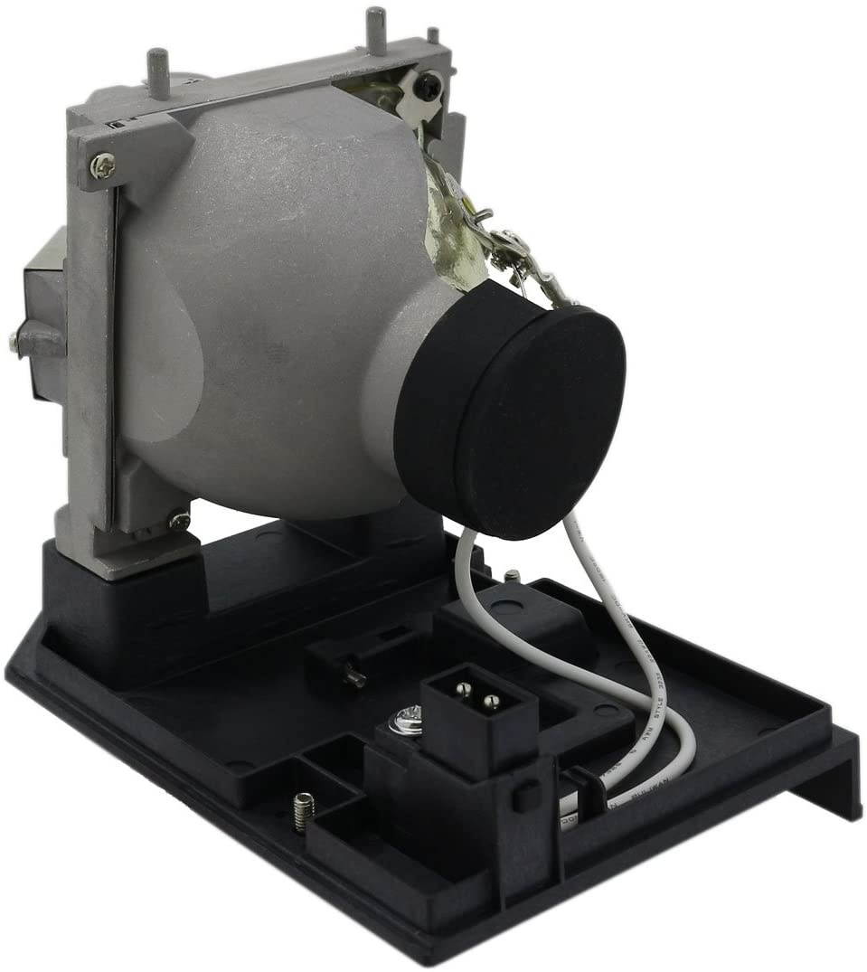 AuraBeam NP20LP Professional Replacement Projector Lamp for NEC NP-U310W with Housing (Powered by Philips)