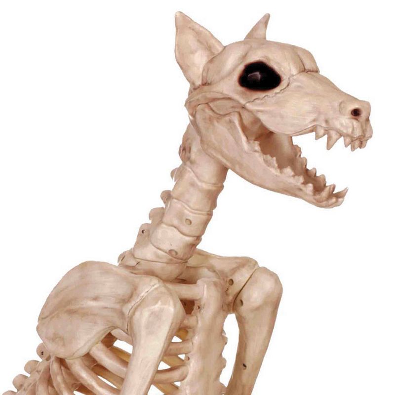 Halloween Skeleton Doberman