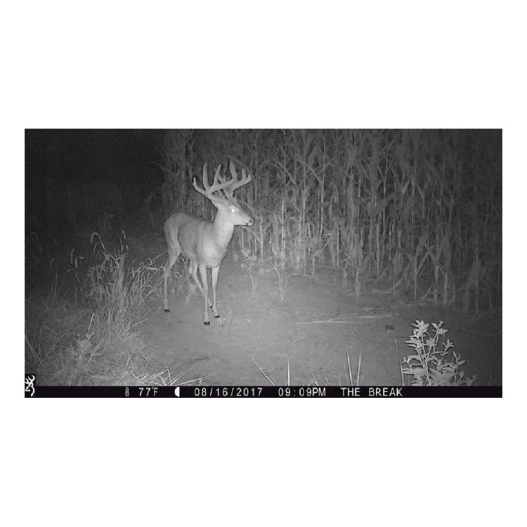 Browning Trail Cameras Strike Force Extreme 16MP Game Camera