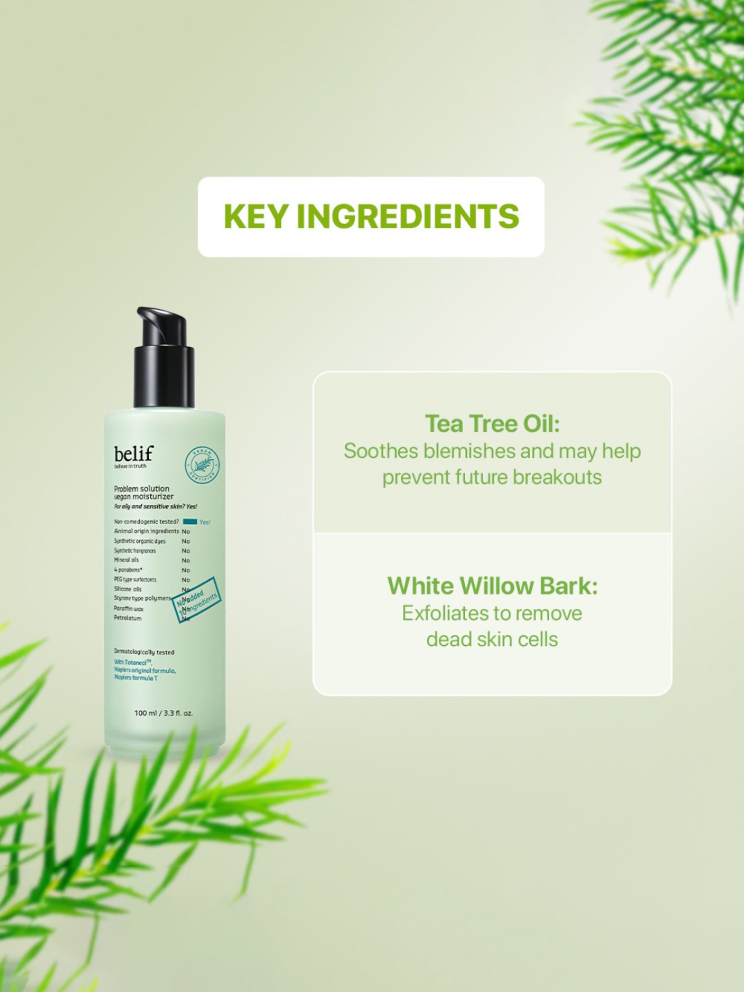 Belif Problem Solution Vegan Moisturizer - 100 ml