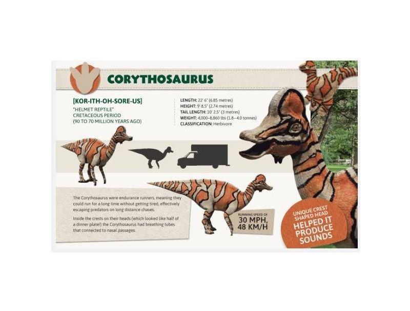 Dino Dana - by J J Johnson & Colleen Russo Johnson & Christin Simms (Hardcover)