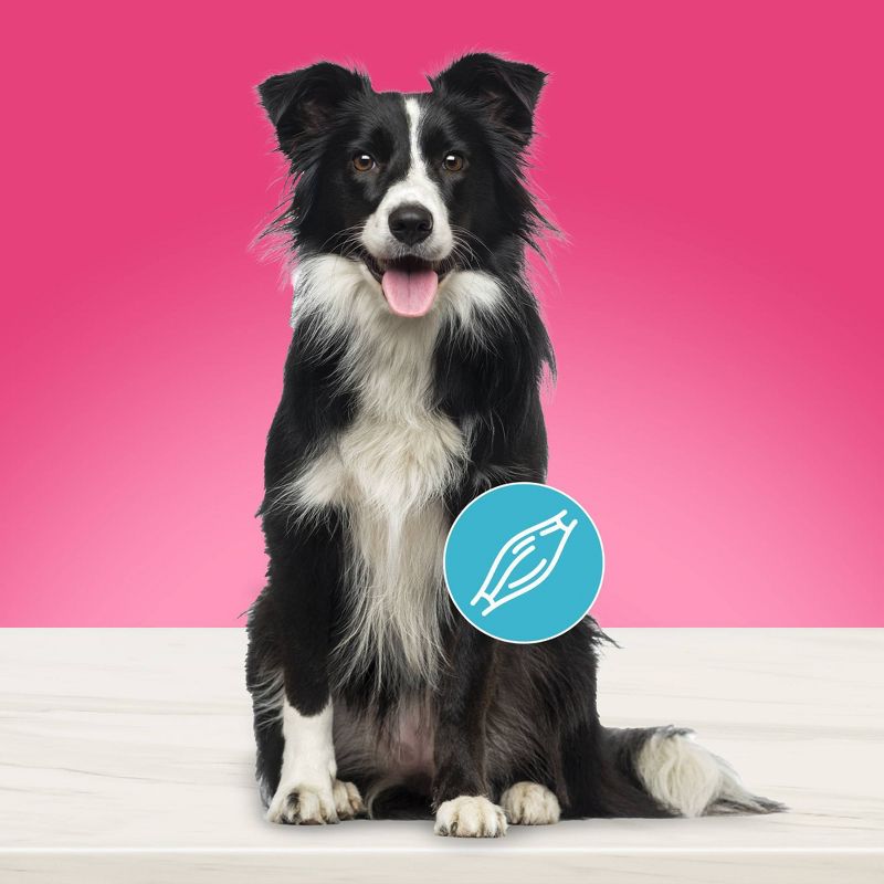 Blue Buffalo True Solutions Top Form Wet Dog Food - 12.5oz