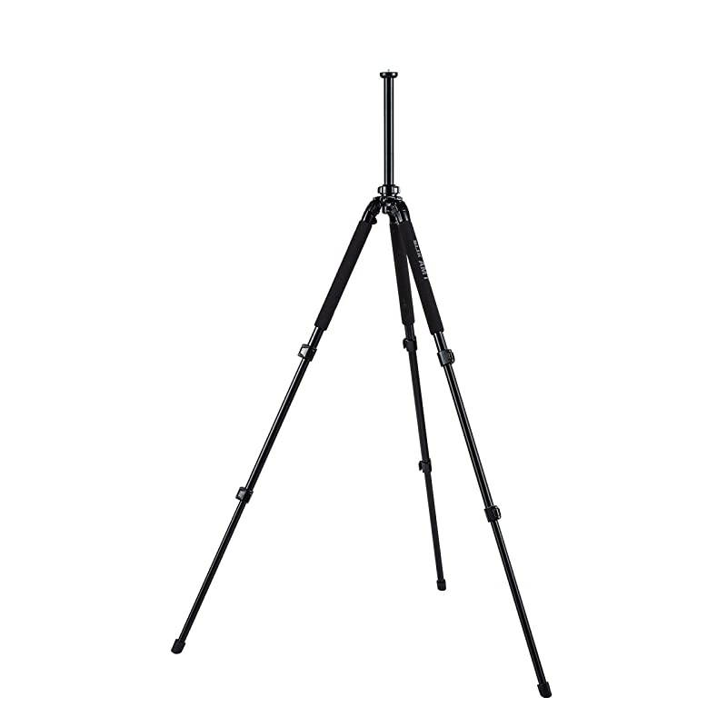 500DX Pro Tripod Legs Supports 10 lb 45 kg for MirrorlessDSLR Sony Nikon Canon Fuji Cameras and More Black 615324