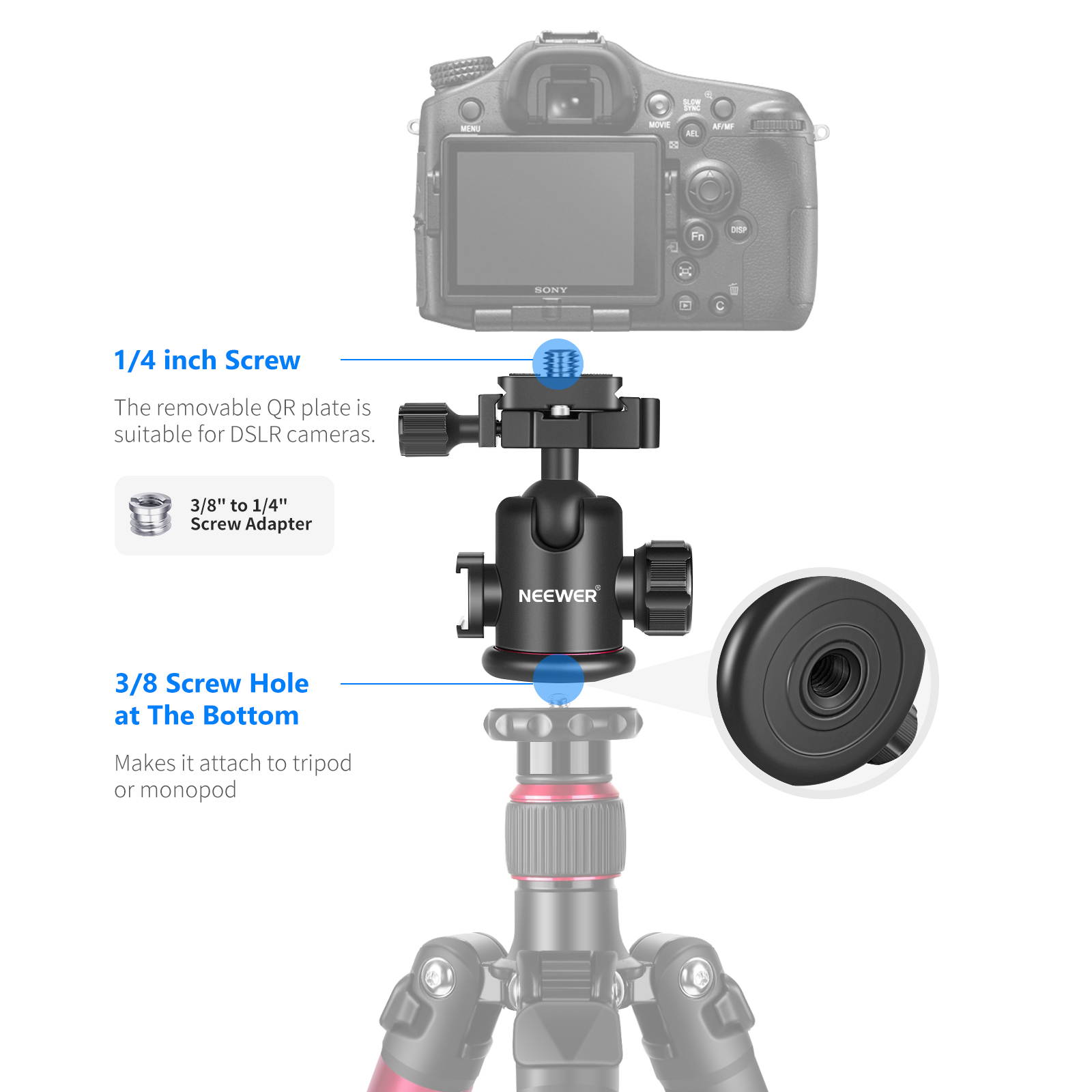 Neewer Ball Head Tripod Mount with Cold Shoe Mic/Light Mount, 360 Degree Rotating Panoramic Ball Head with 1/4 inch Quick Release Plate for Tripod, Monopod, DSLRs, Slider, Load up to 17.6lbs/8kg