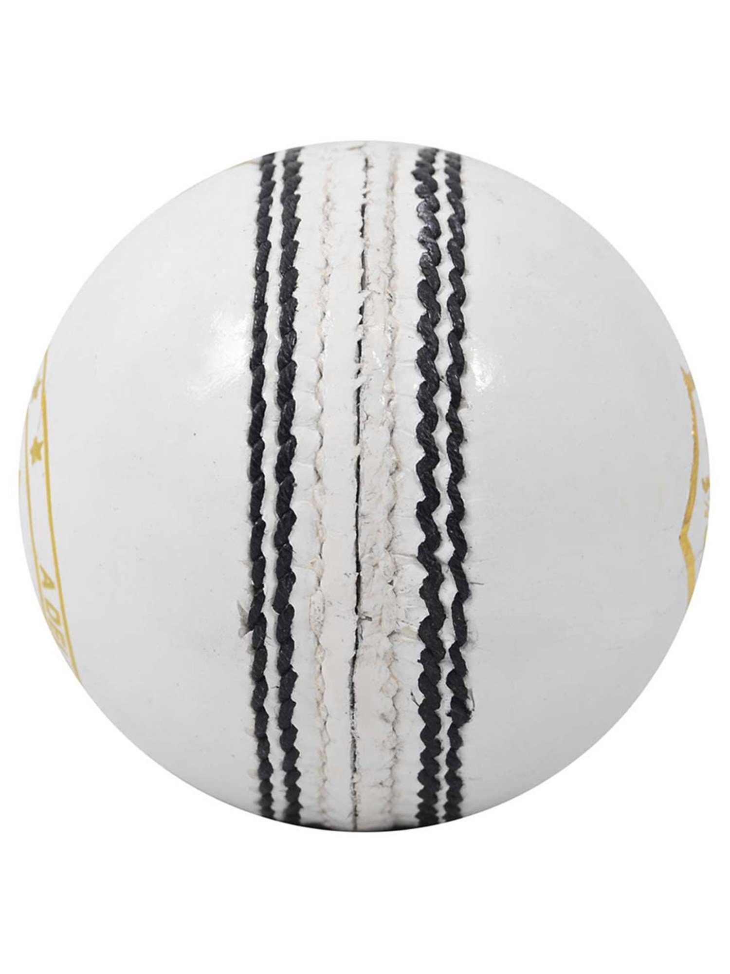 DSC Pace 20 Cricket Leather Ball Size - Free Size