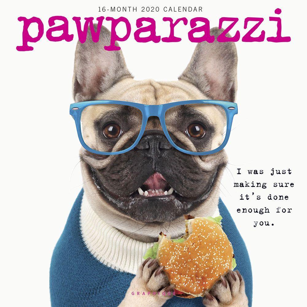 Graphique De France, 2020 Pawparazzi Wall Calendar