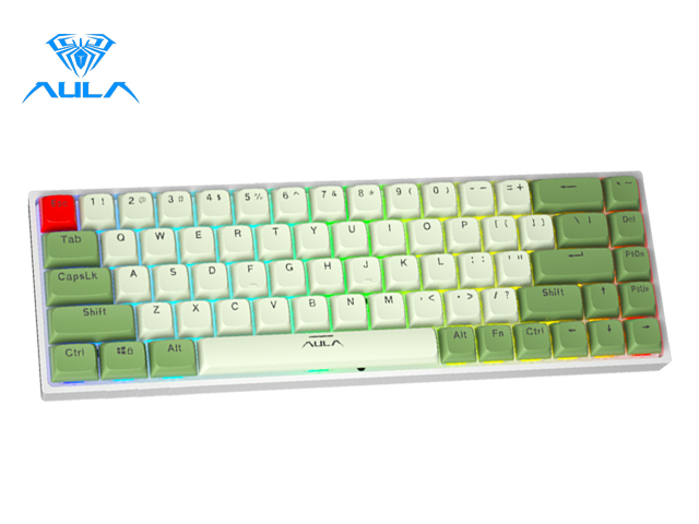 Aula F3068 68 Keys Bluetooth+Wired Dual Mode RGB Mechanical Keyboard Hot Swappable Switch Full keys Anti-ghosting Cool Backlight Effect for Pc Laptop Offical Computer
