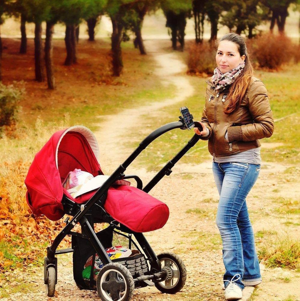 Stroller Cell Phone Holder Mount-Universal Clamp, Also for Bike, Boat, Golf and Grocery Cart, Fits iPhone X, 8 | 8 Plus, 7 | 7 Plus, iPhone 6s | 6s Plus, Galaxy S7, S6, S5, Adjustable