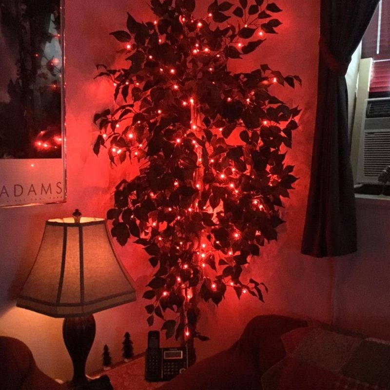 ER CHEN 165ft Led String Lights, 500 Led Fairy Starry Lights on 50M Silvery Copper Wire String Lights for Christmas (Red)