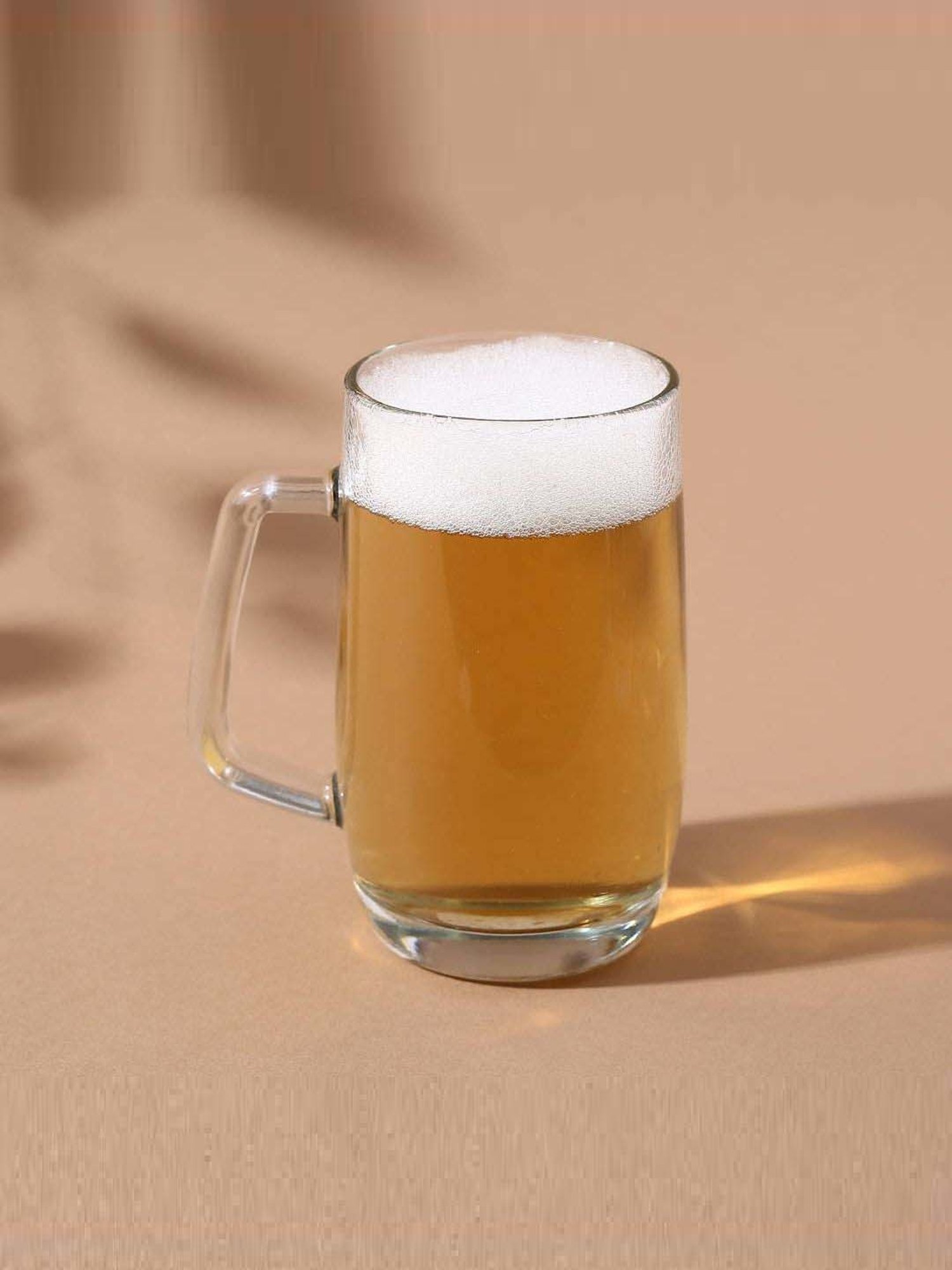 Wonderchef Modena Beer Mug