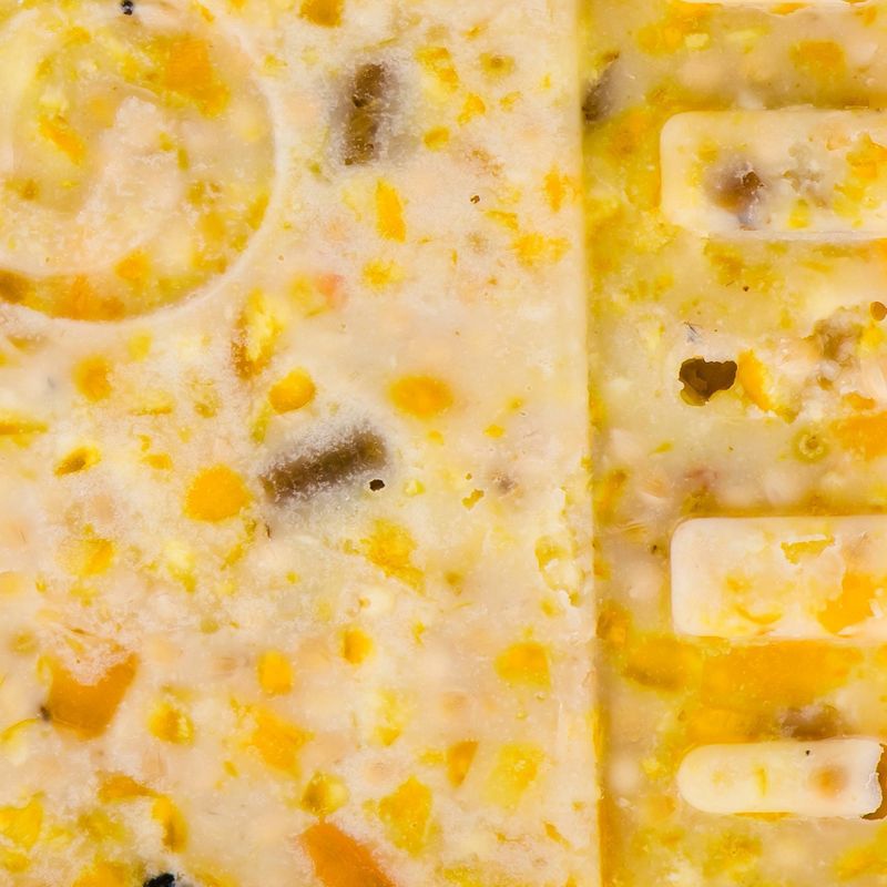 KAYTEE Suet and Seed Bird and Wildlife Food - 11.75oz - 12ct