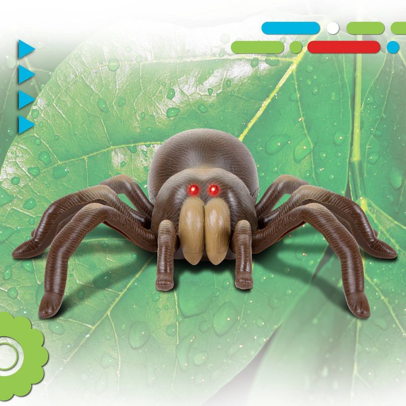 Discovery Kids Remote Control Tarantula