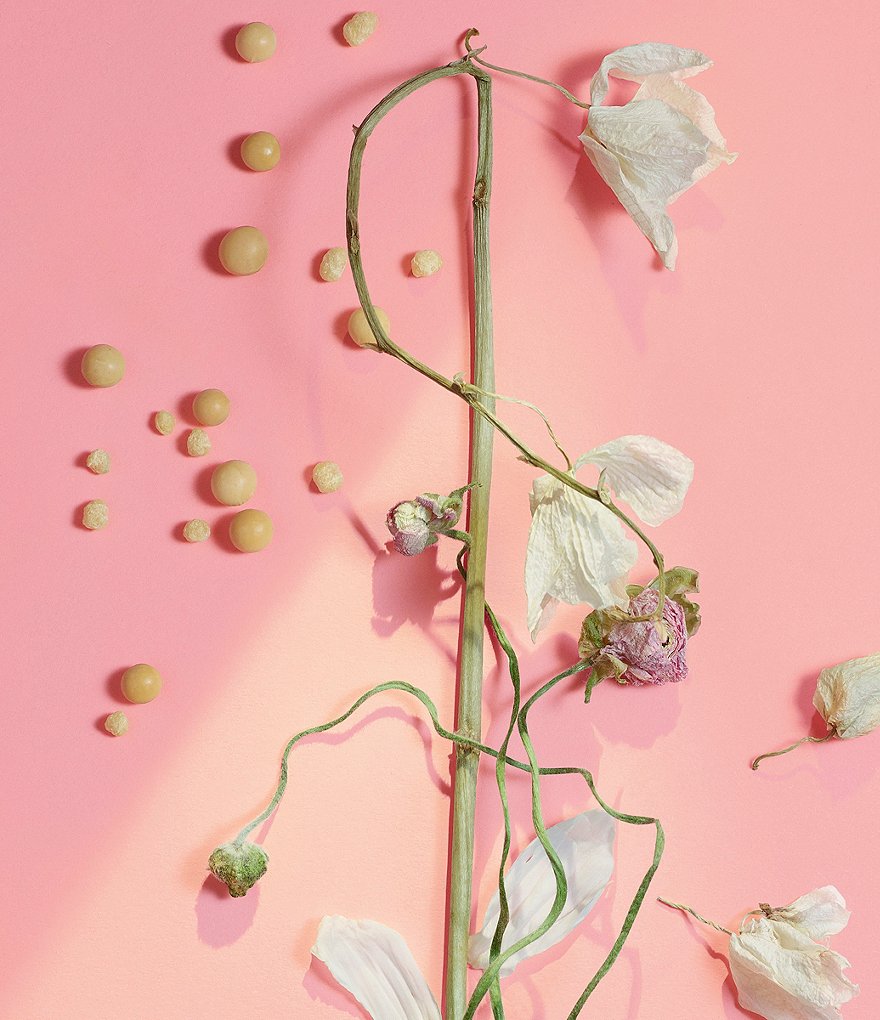 No7 Laboratories Acne Treatment 2% Salicylic Acid - 1.69 fl oz