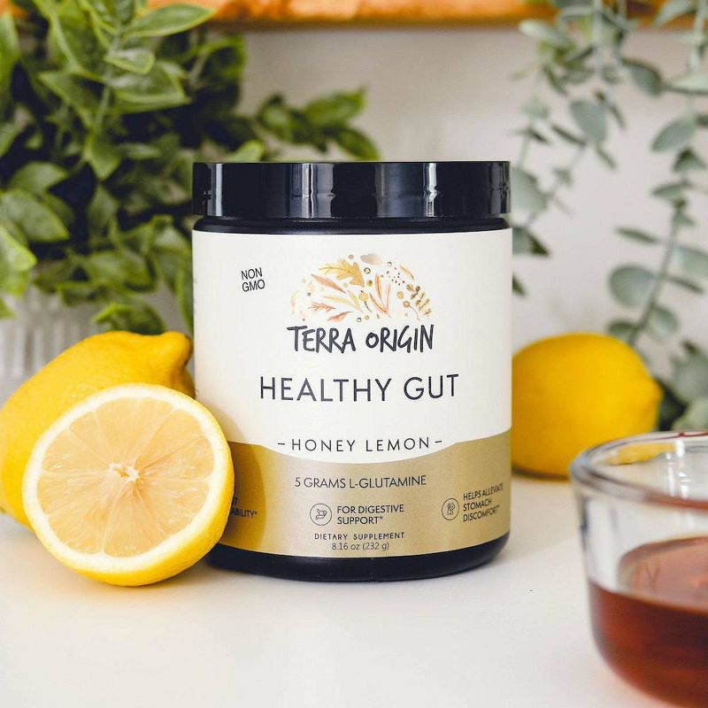 Terra Origin Healthy Gut - Honey Lemon - 8.16oz