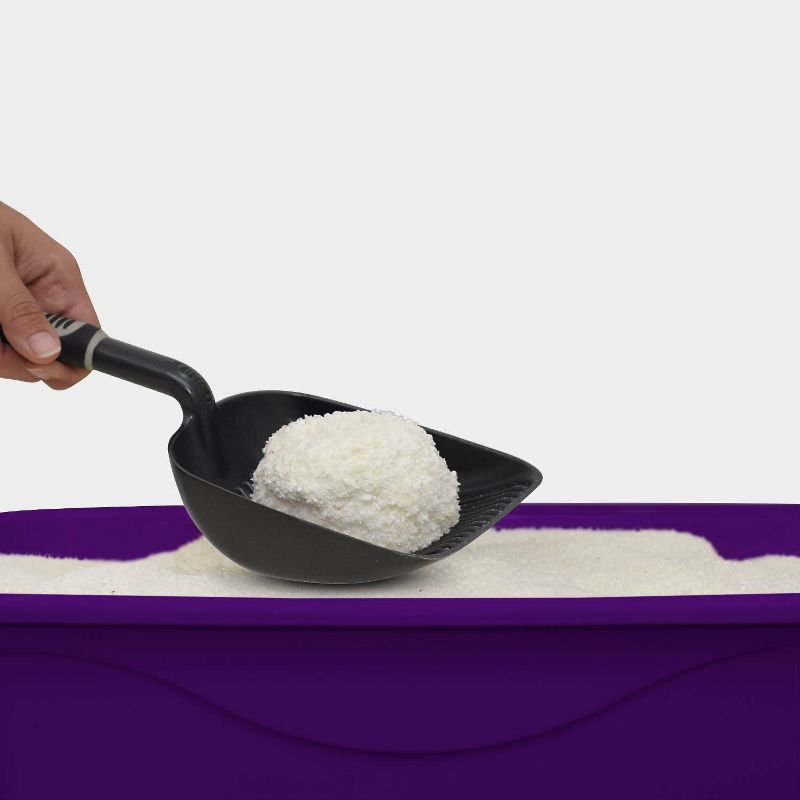 Petfive Brands Garfield Ultimate Clump Cat Litter - 10lb