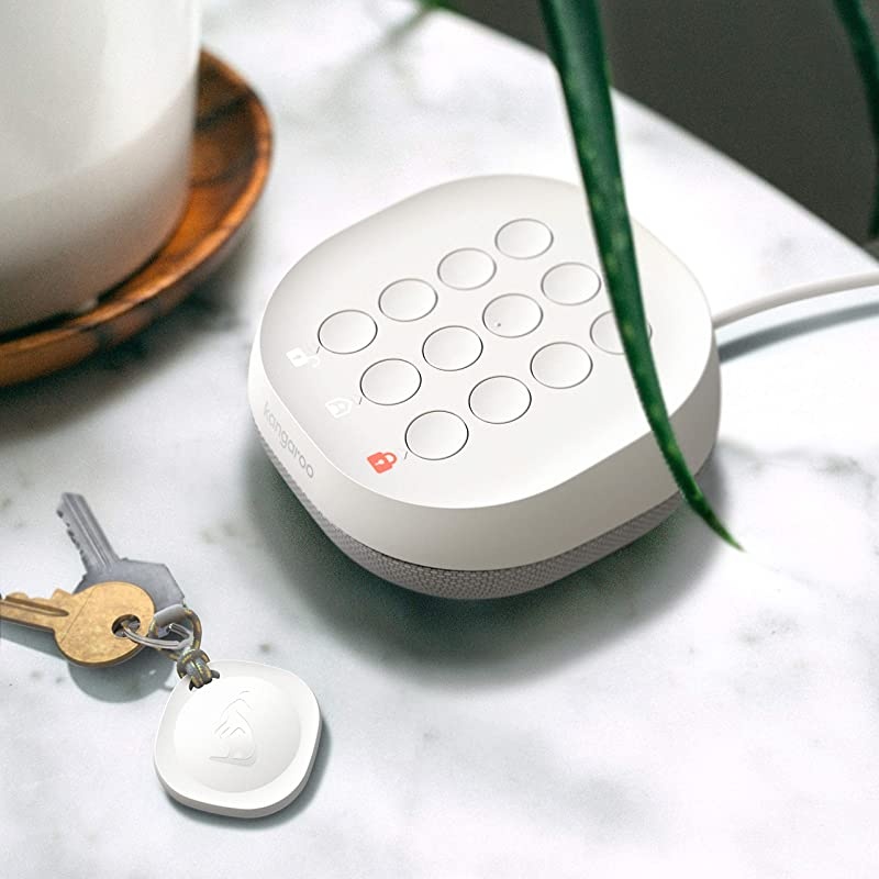 Home Security Motion Sensor (1 Pack)