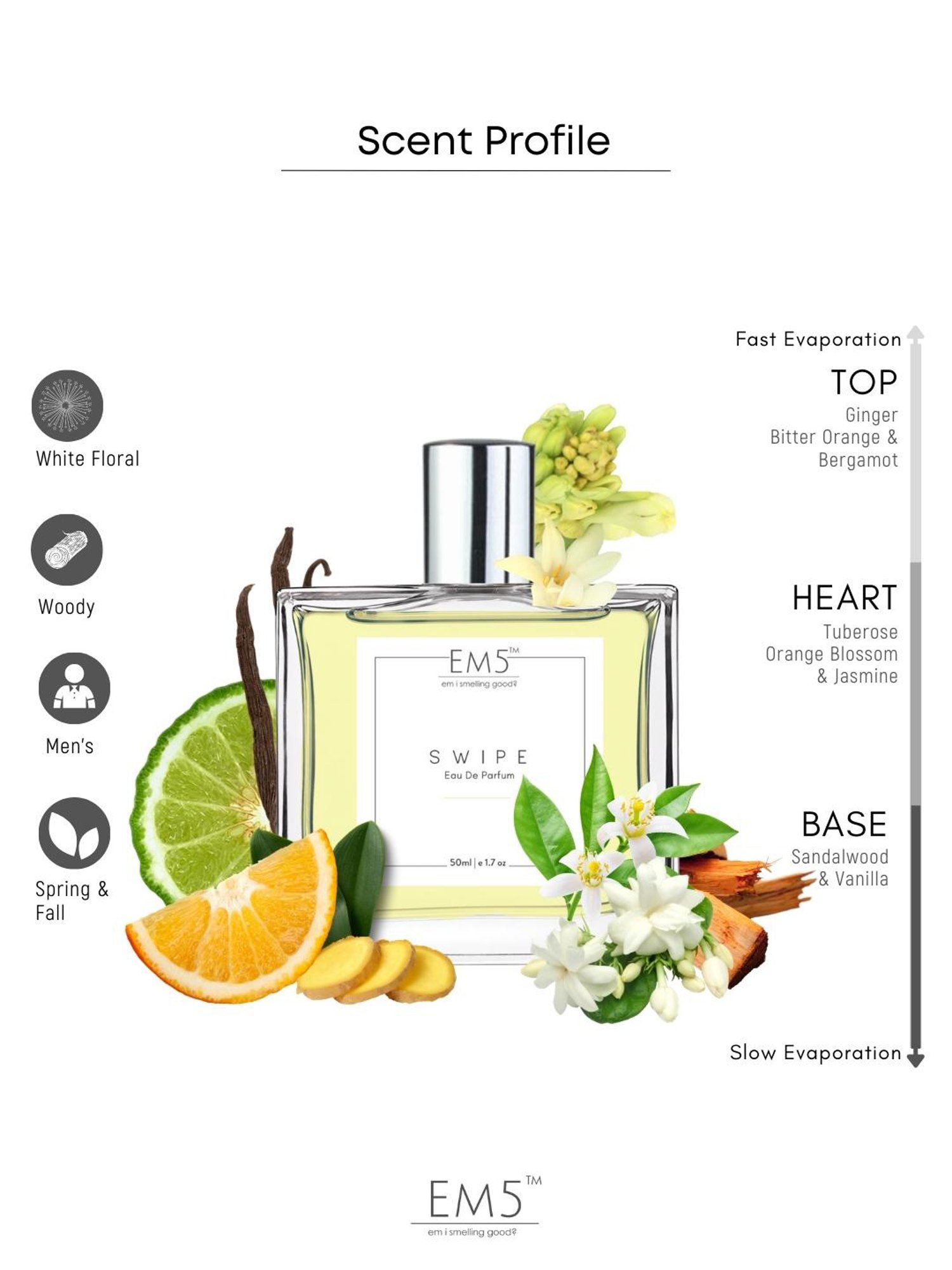 EM5 Swipe Eau de Parfum for Men - 50 ml