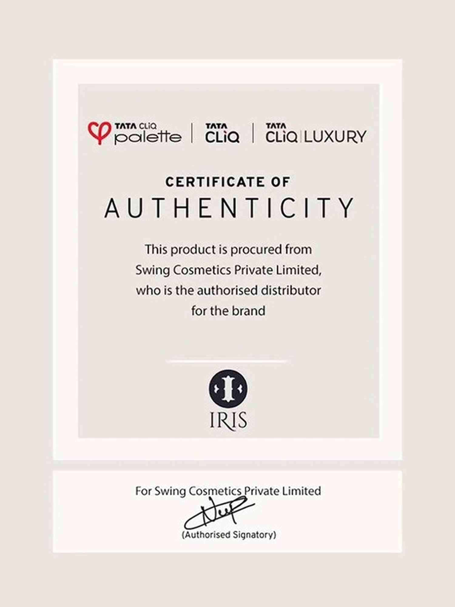 Iris Cosmetics Luminous HD Spot Concealer Brush