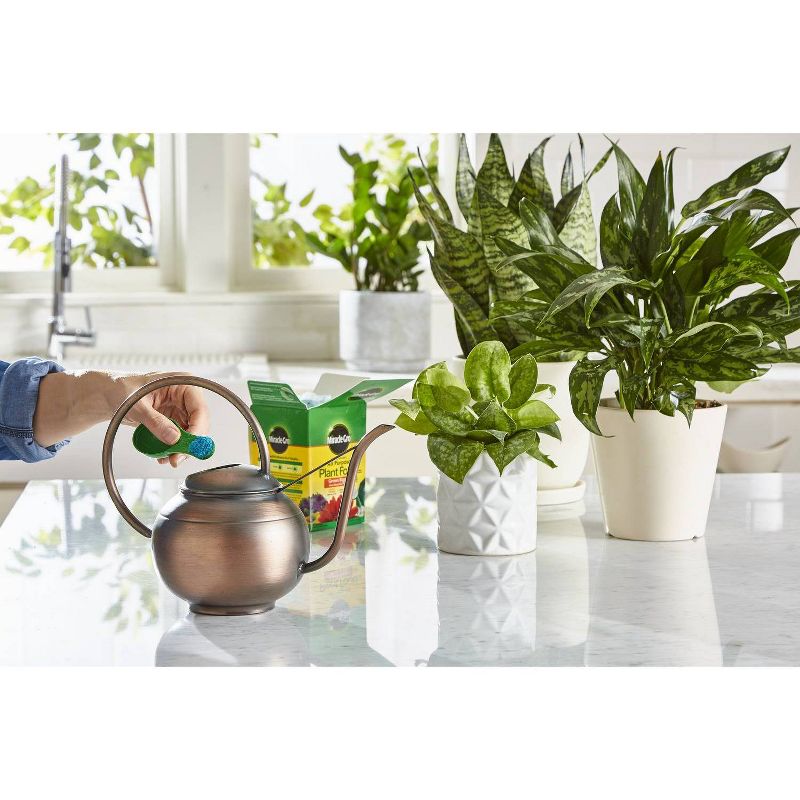 Miracle-Gro Water Soluble All Purpose Plant Food 1.5lb