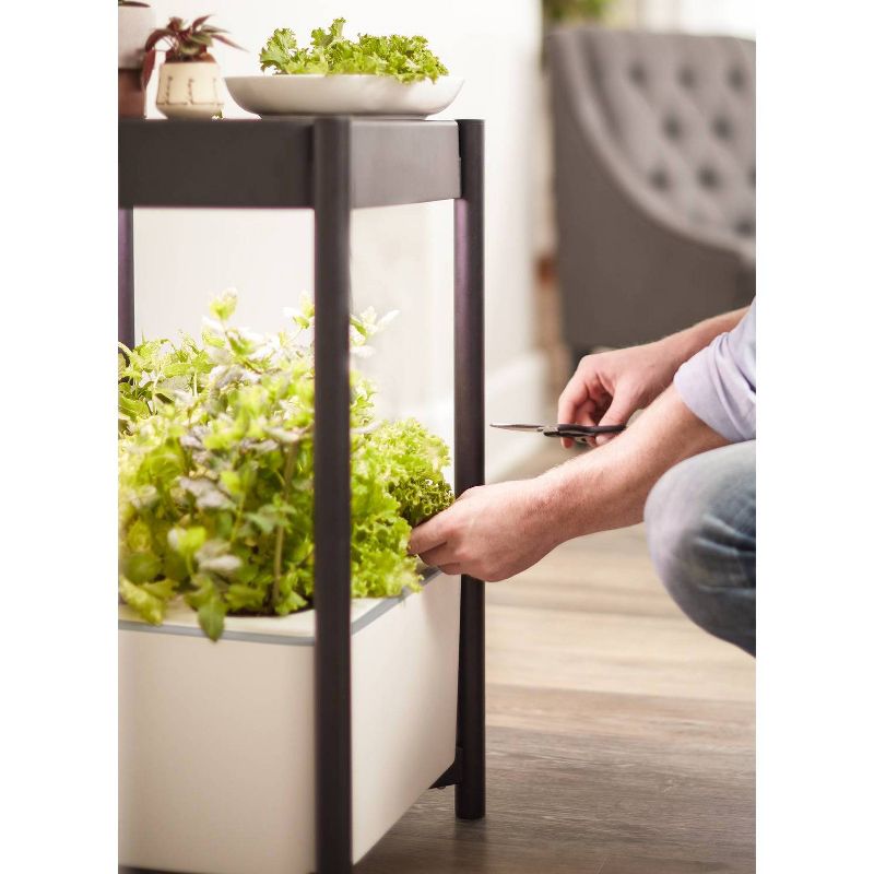 Miracle-Gro Twelve Indoor Growing System