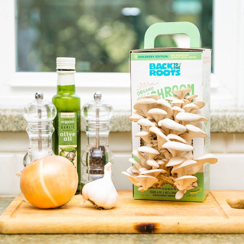 Back to the Roots Organic Mushroom Grow Kit