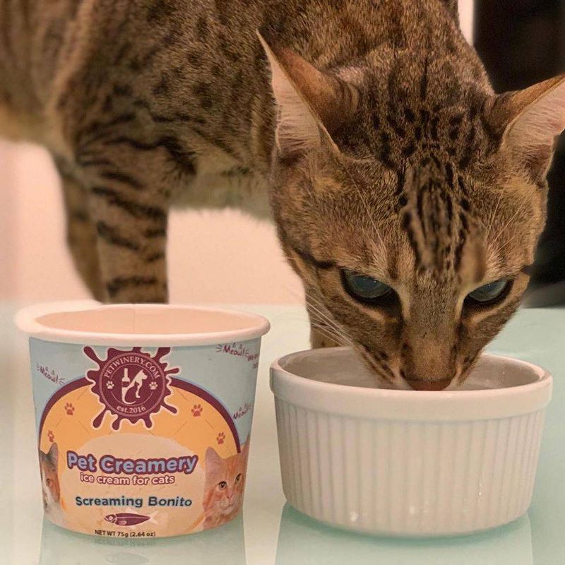 Pet Winery Cat Ice Cream Screaming Bonito Flavor Cat Treats - 3oz