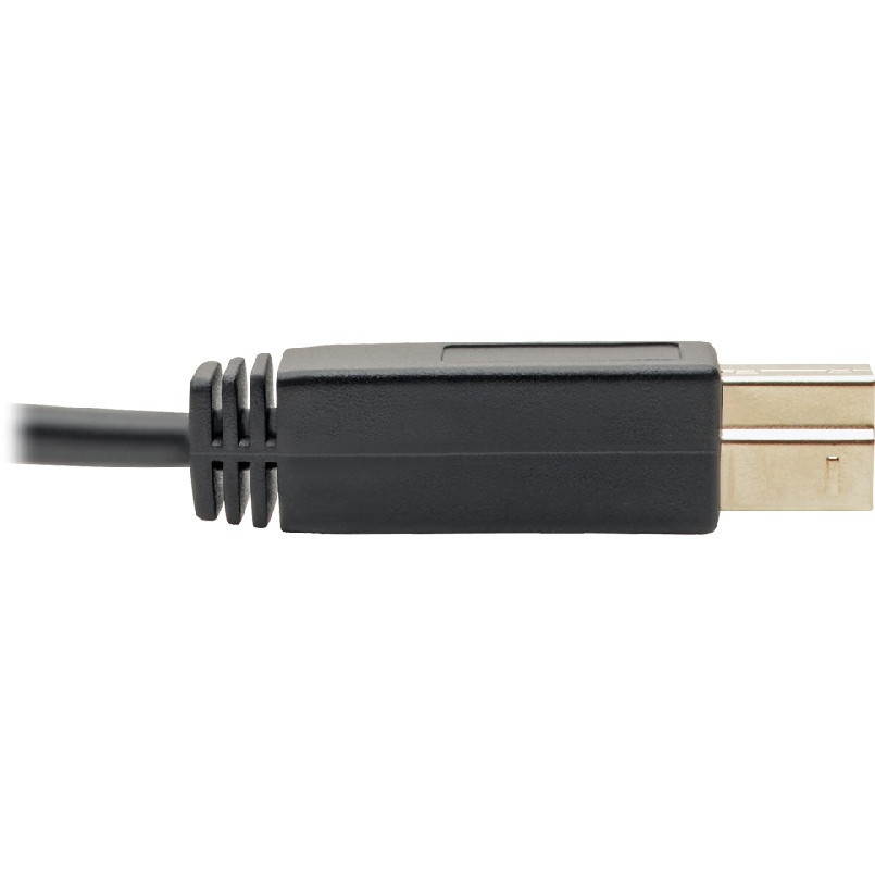 Tripp Lite U422-006 USB Type-C to USB Type-B Cable, 6 ft.
