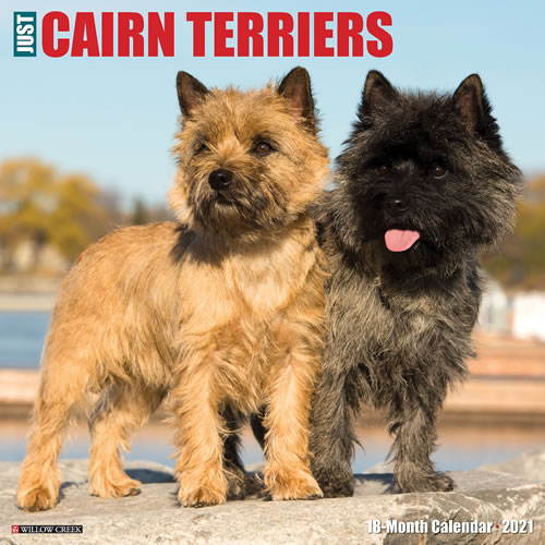 2021 Cairn Terriers Wall