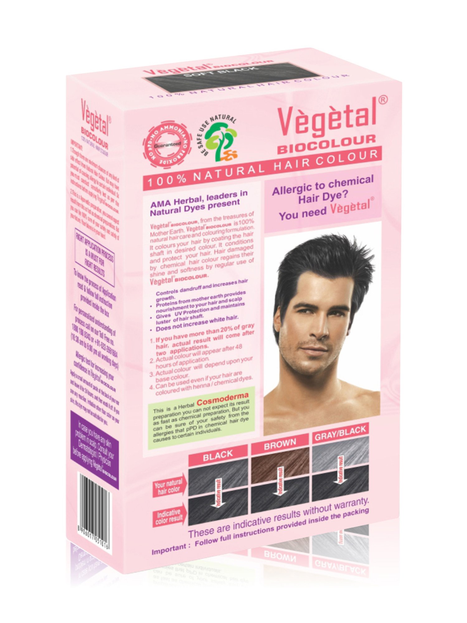 Vegetal Hair Bio Color Soft Black - 50 gm