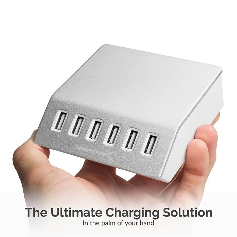 Premium 60 Watt 12 Amp 6Port Aluminum FamilySized Desktop USB Rapid Charger Smart USB Charger with Auto Detect Technology Silver AXFLCH