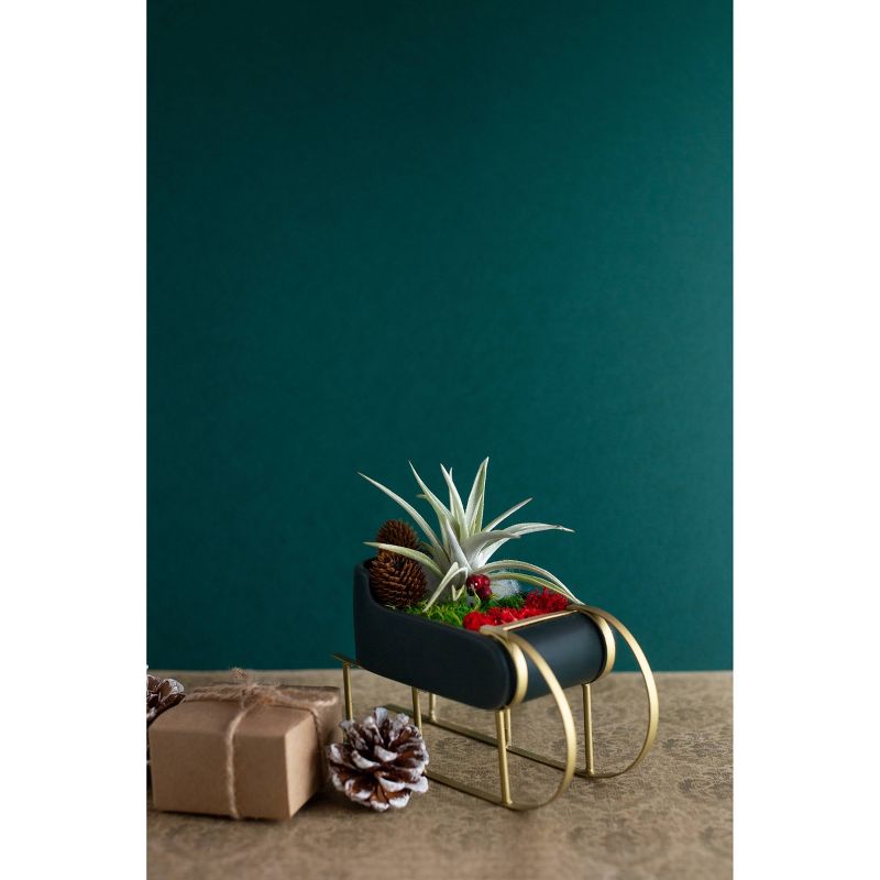 LiveTrends Santa's Sleigh - 3pk