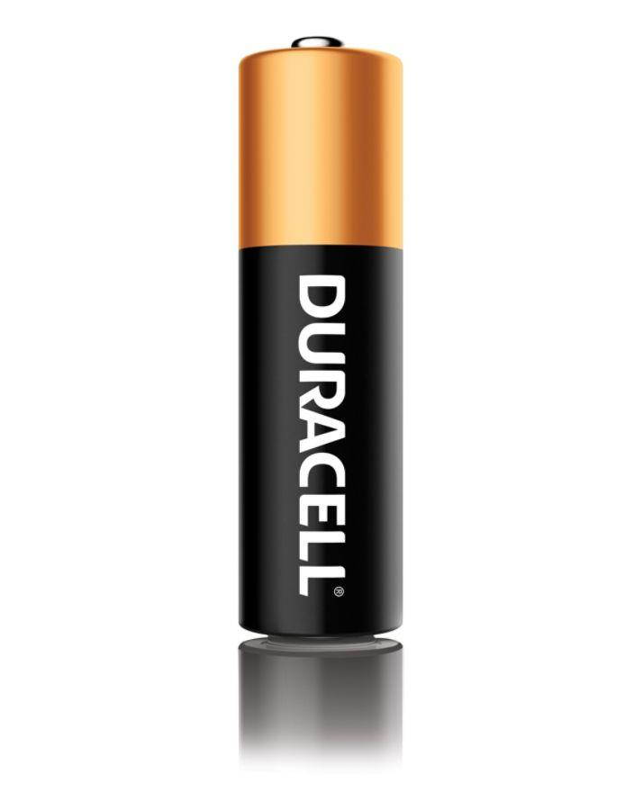 DURACELL R MN1500B24 DURACELL COPPERTOP AA ALKLNE BTTRY 24PK