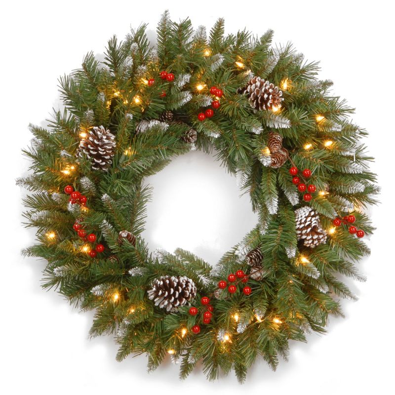 National Tree Company 24 Inch Decorative Collection Prelit Plug-In Artificial Christmas Wreath w/ LED Lights, 3 Ft Cord, Frosted Pinecones & Berries