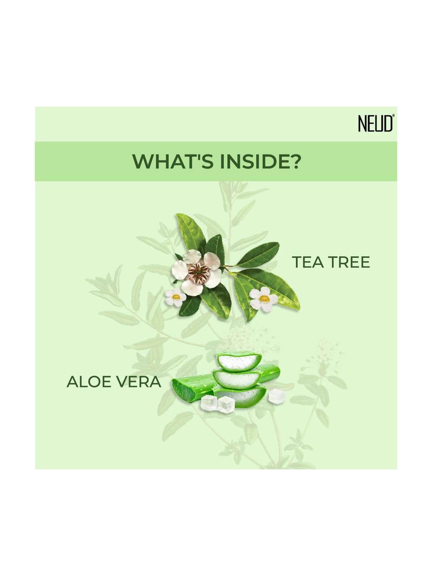 NEUD Tea Tree Facial Mist Spray for Acne-Prone Skin - 100 ml (Pack of 1)