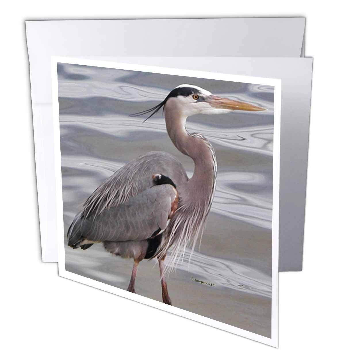 3D Rose Greeting Card with Envelope, Set of 1 (gc_19132_5)