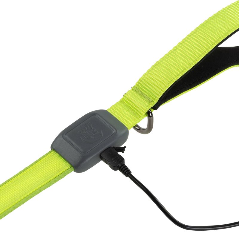 Nite Ize LED Dog Leash - Green