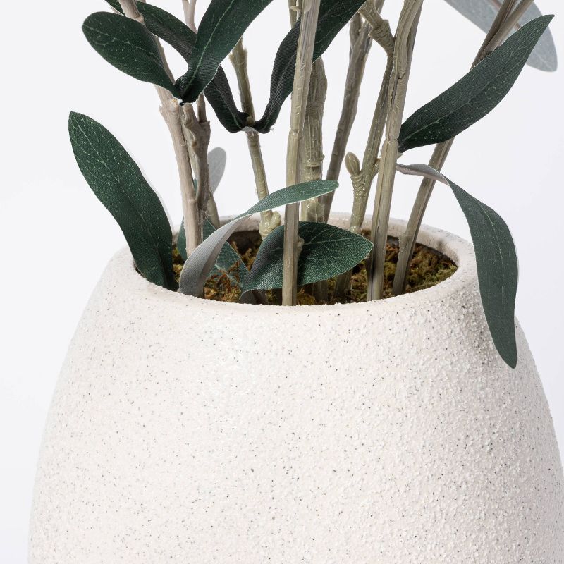 30" x 24" Artificial Olive Plant Arrangement in Pot - Threshold™ designed with Studio McGee