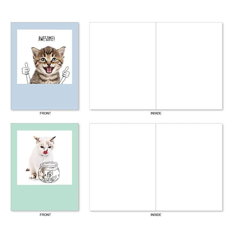 10 All Occasion Blank Cat Cards 4 x 512 Inch Cute Assorted Bulk Card Set Feline Graffiti M6583OCB