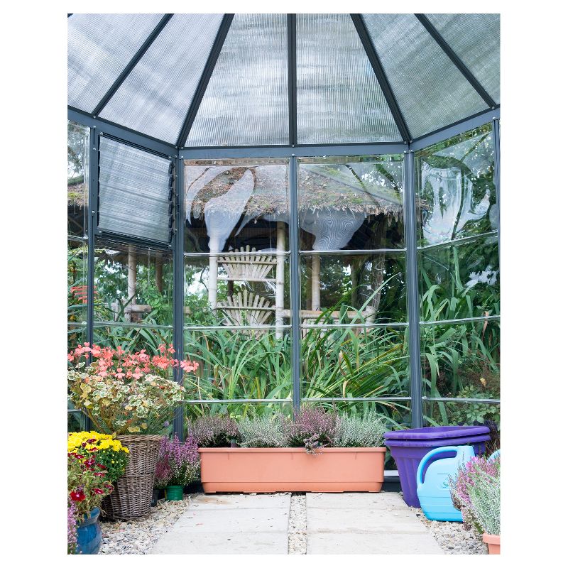 Oasis Hex Greenhouse Gray - Palram