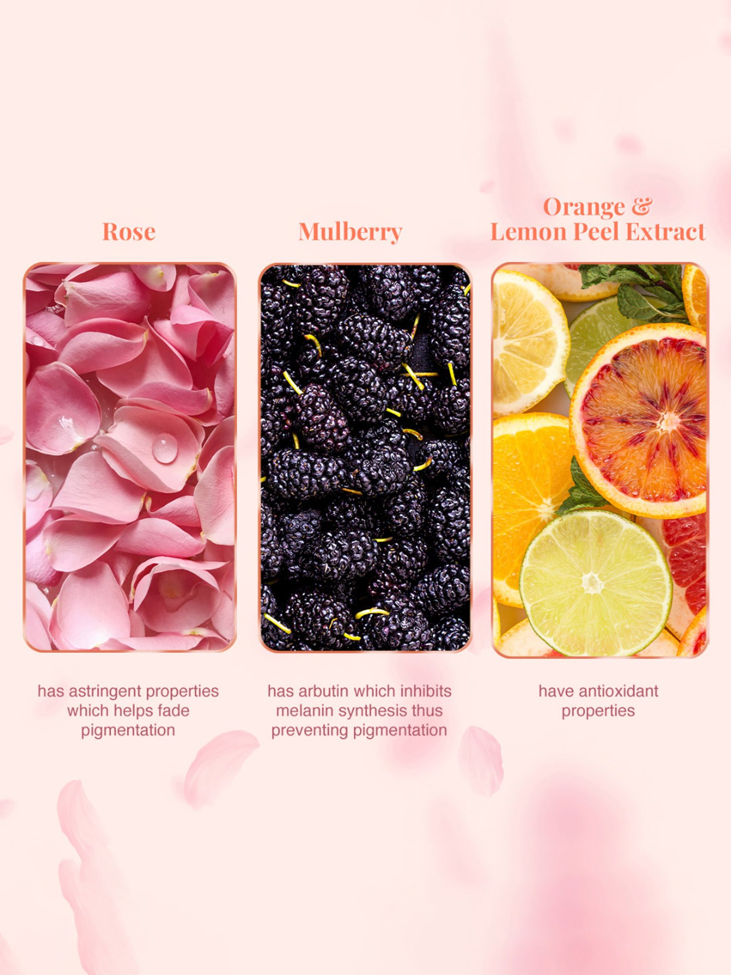 VLCC Skin Defense Mulberry & Rose Face Wash Buy 1 Get 1 Free - Pack of 3