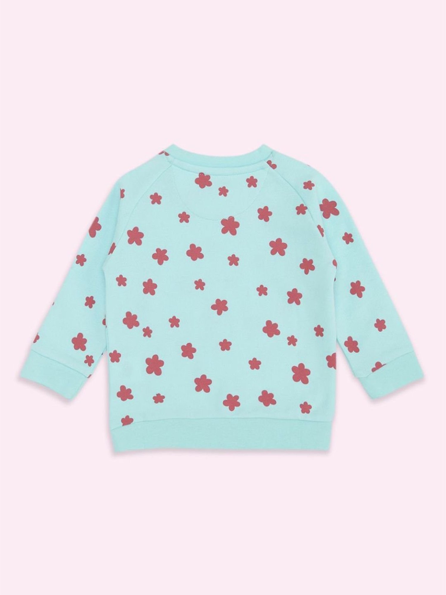 Pantaloons Baby Aqua Blue Cotton Printed Full Sleeves Sweatshirt