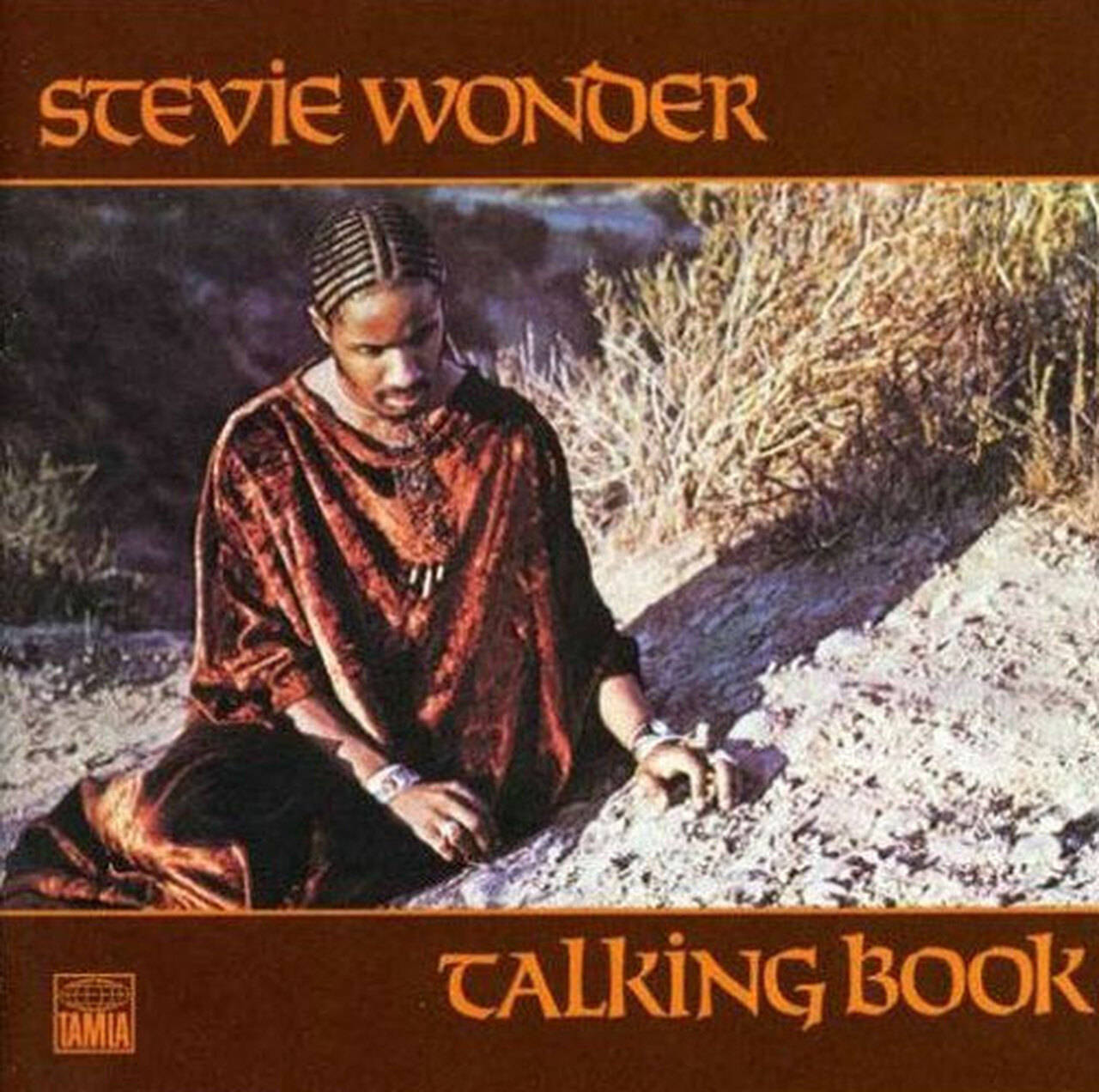 Stevie Wonder Talking Book LP (Vinyl)