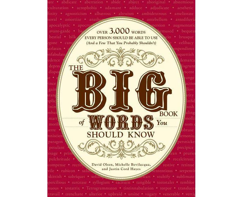 The Big Book of Words You Should Know - by  David Olsen & Michelle Bevilacqua & Justin Cord Hayes (Paperback)