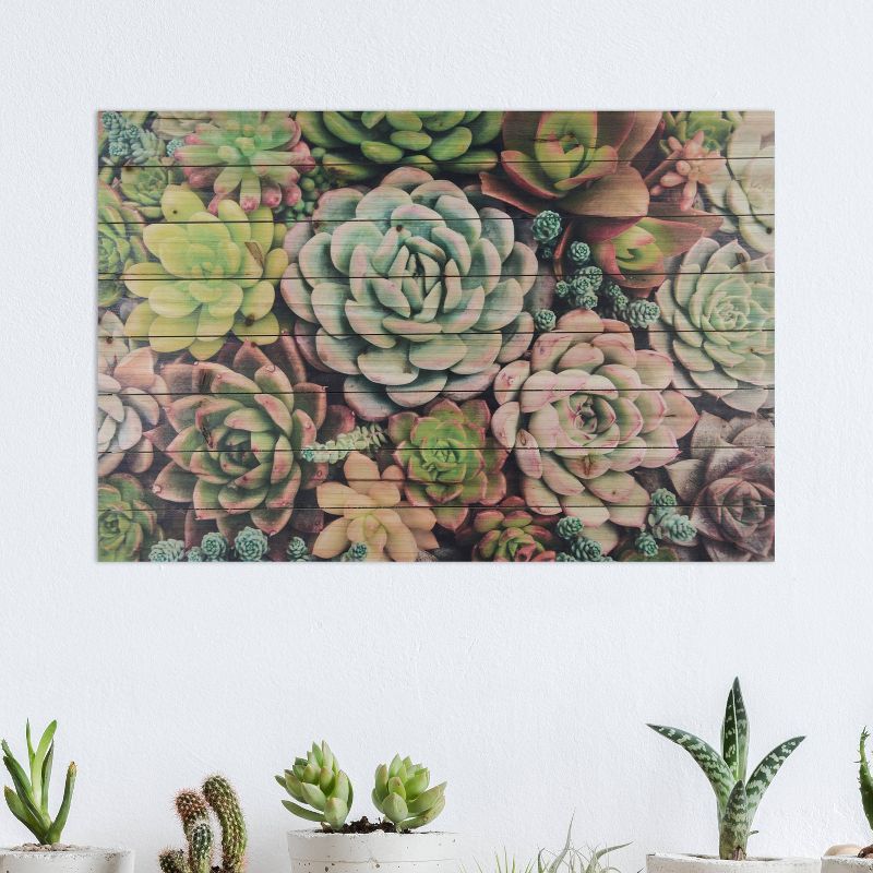 24" x 36" Succulent Garden Print on Planked Wood Wall Sign Panel Assorted Greens - Gallery 57