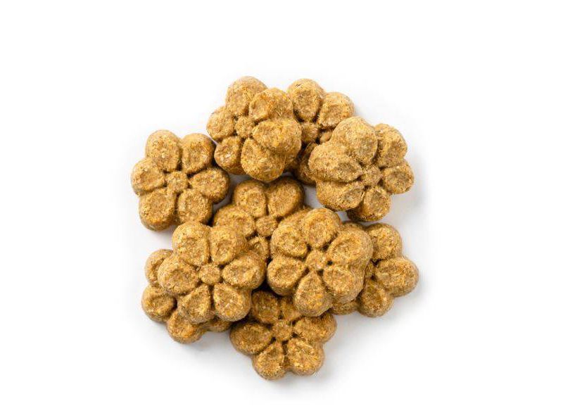 Fruitables Baked Pumpkin and Banana Flavor Healthy Low Calorie Dog Treats - 7oz
